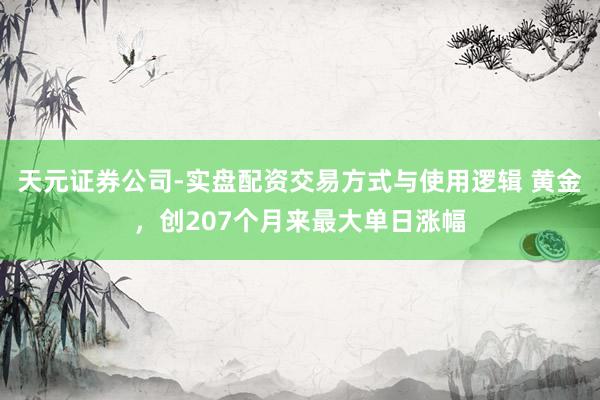 天元证券公司-实盘配资交易方式与使用逻辑 黄金，创207个月来最大单日涨幅