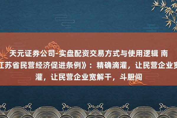 天元证券公司-实盘配资交易方式与使用逻辑 南大西宾解读《江苏省民营经济促进条例》：精确滴灌，让民营企业宽解干，斗胆闯